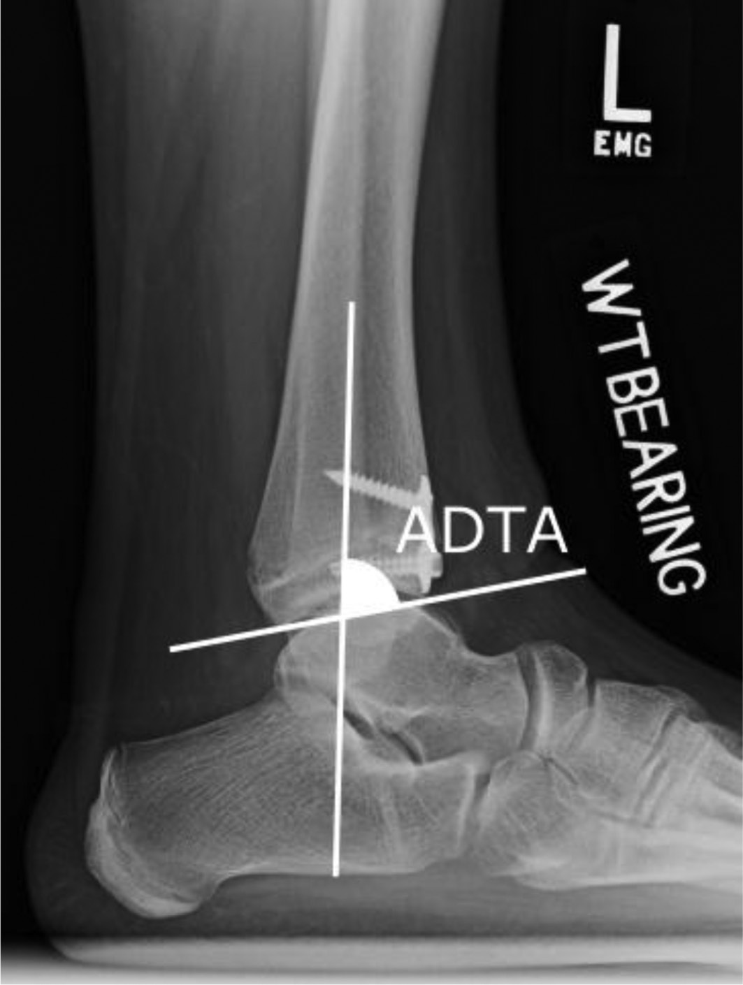 jposna20220004_fig1.jpg