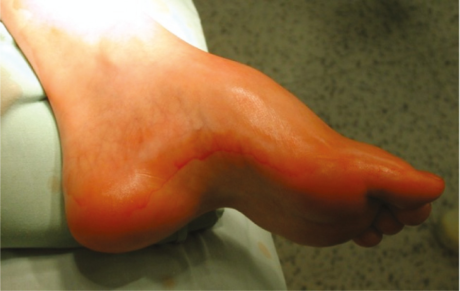 jposna20220035_fig2.jpg