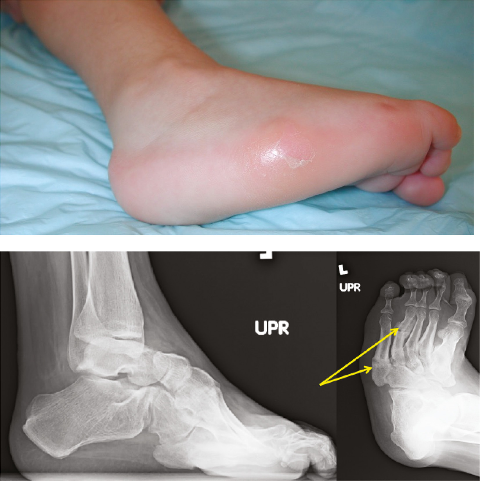 jposna20220035_fig5.jpg