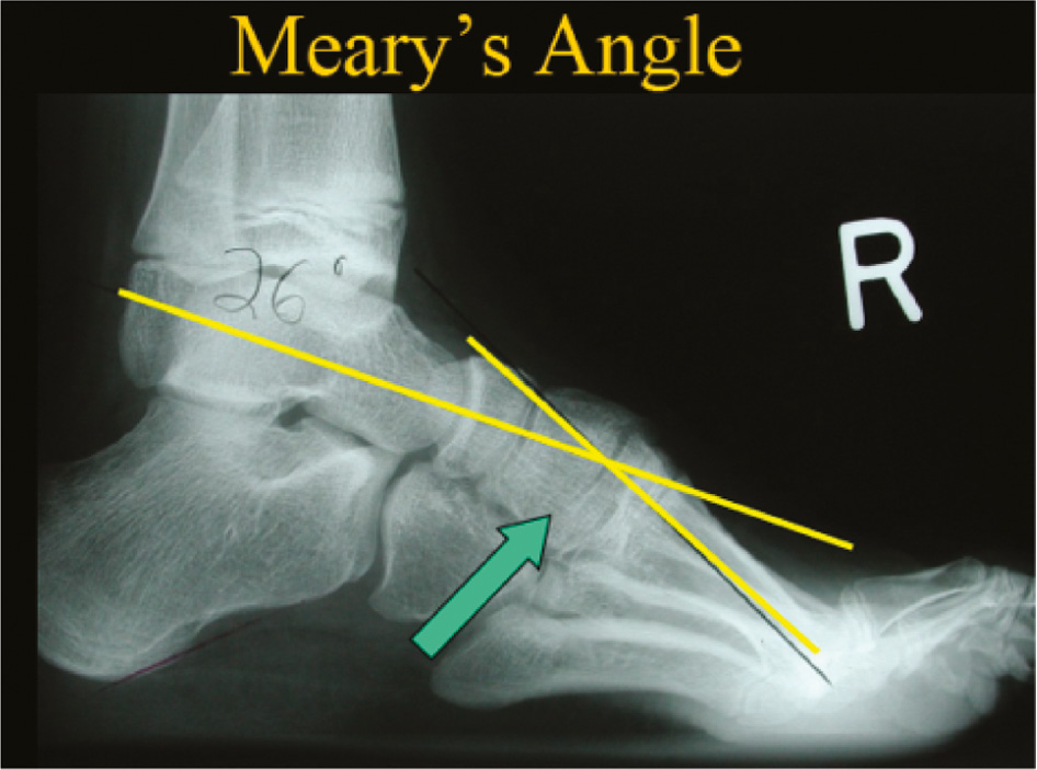 jposna20220035_fig10.jpg