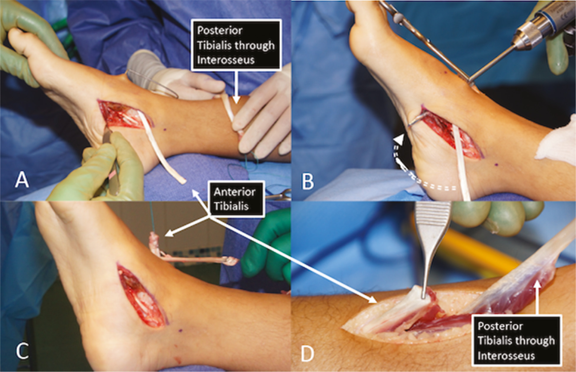 jposna20220035_fig15.jpg