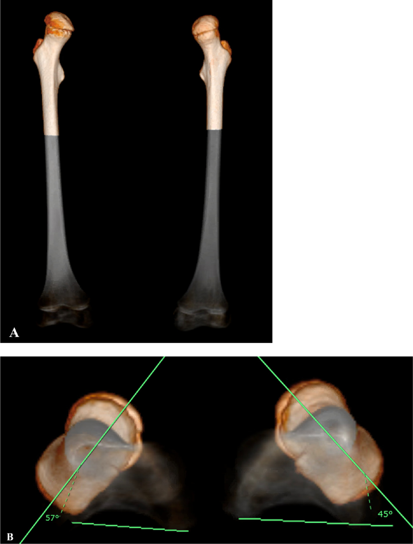 jposna2022562_fig2.jpg