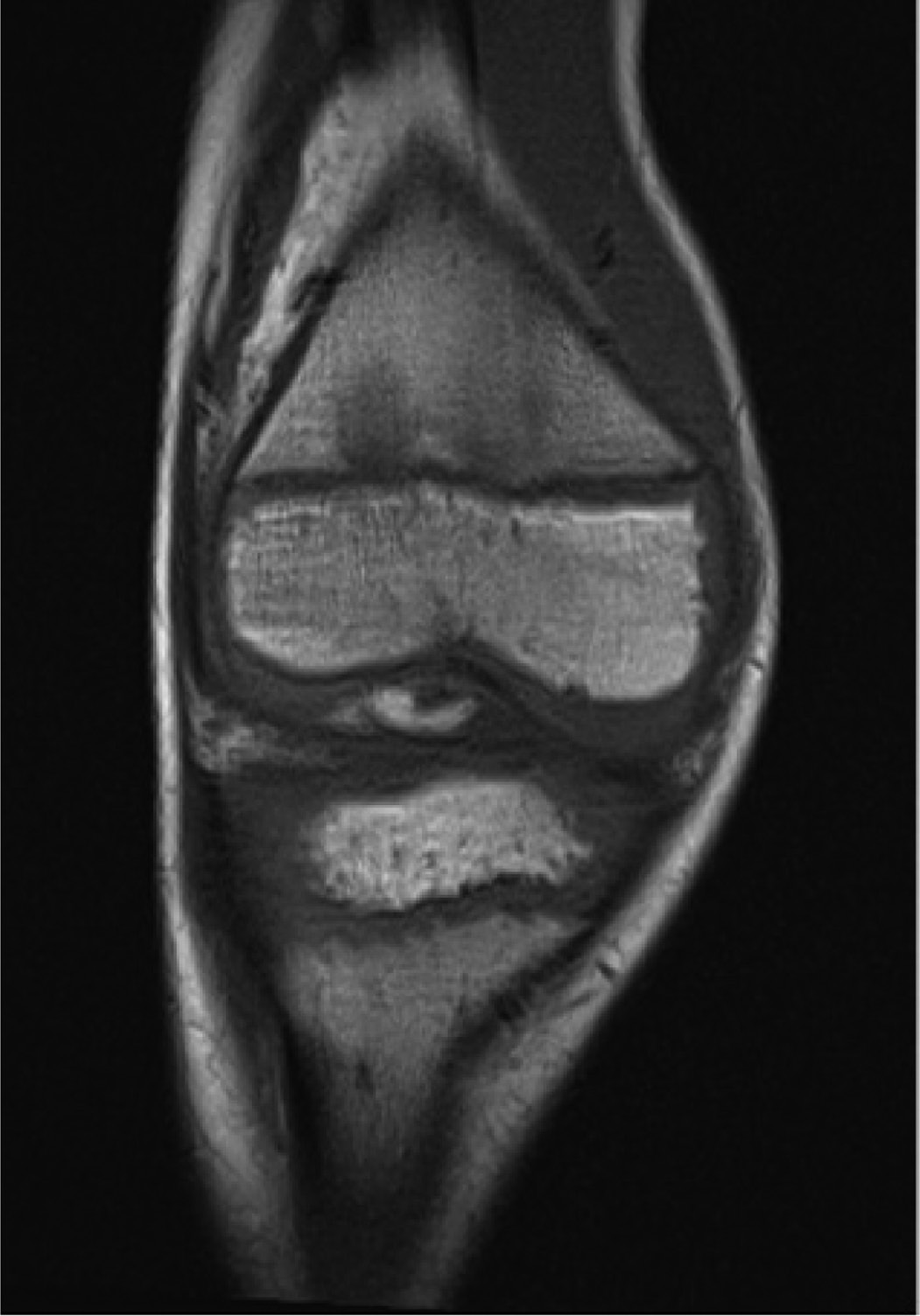 jposna2022570_fig4.jpg