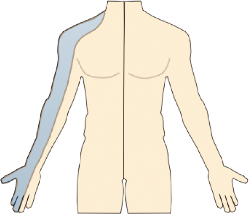 jposna2022579_fig3.jpg