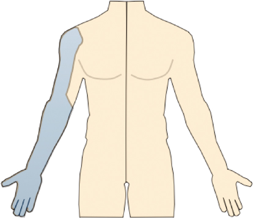 jposna2022579_fig4.jpg