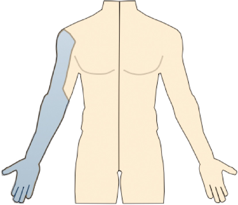 jposna2022579_fig5.jpg