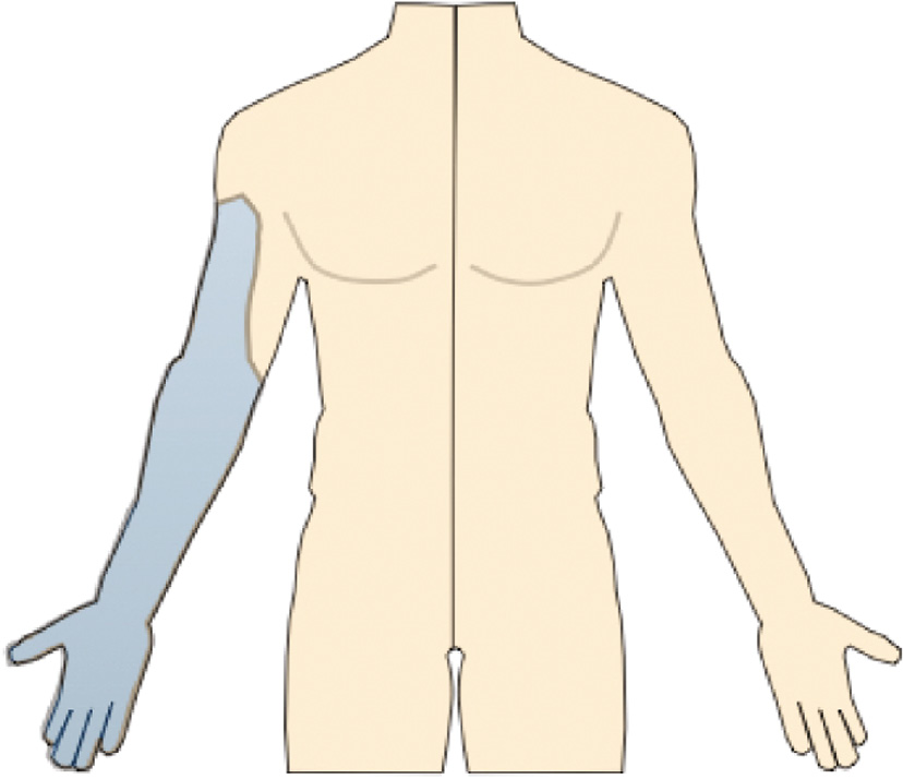 jposna2022579_fig6.jpg