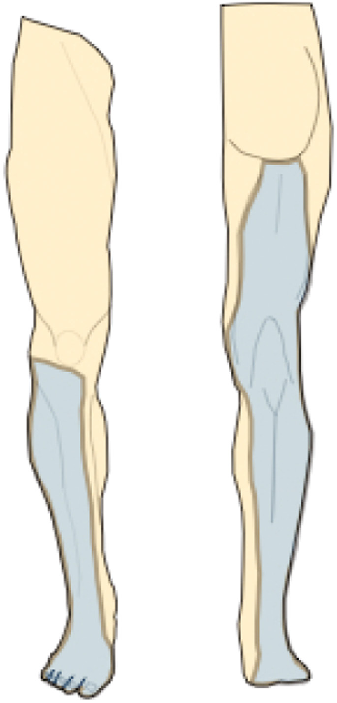 jposna2022579_fig7.jpg