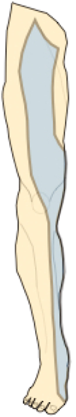 jposna2022579_fig8.jpg