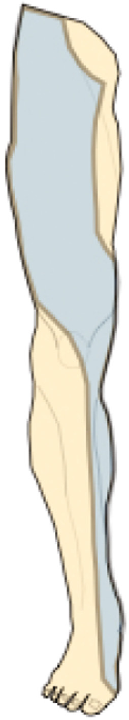 jposna2022579_fig9.jpg