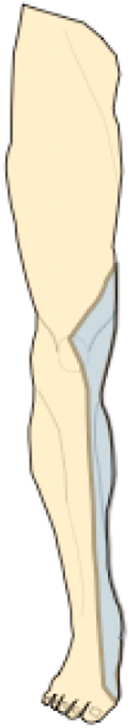 jposna2022579_fig10.jpg
