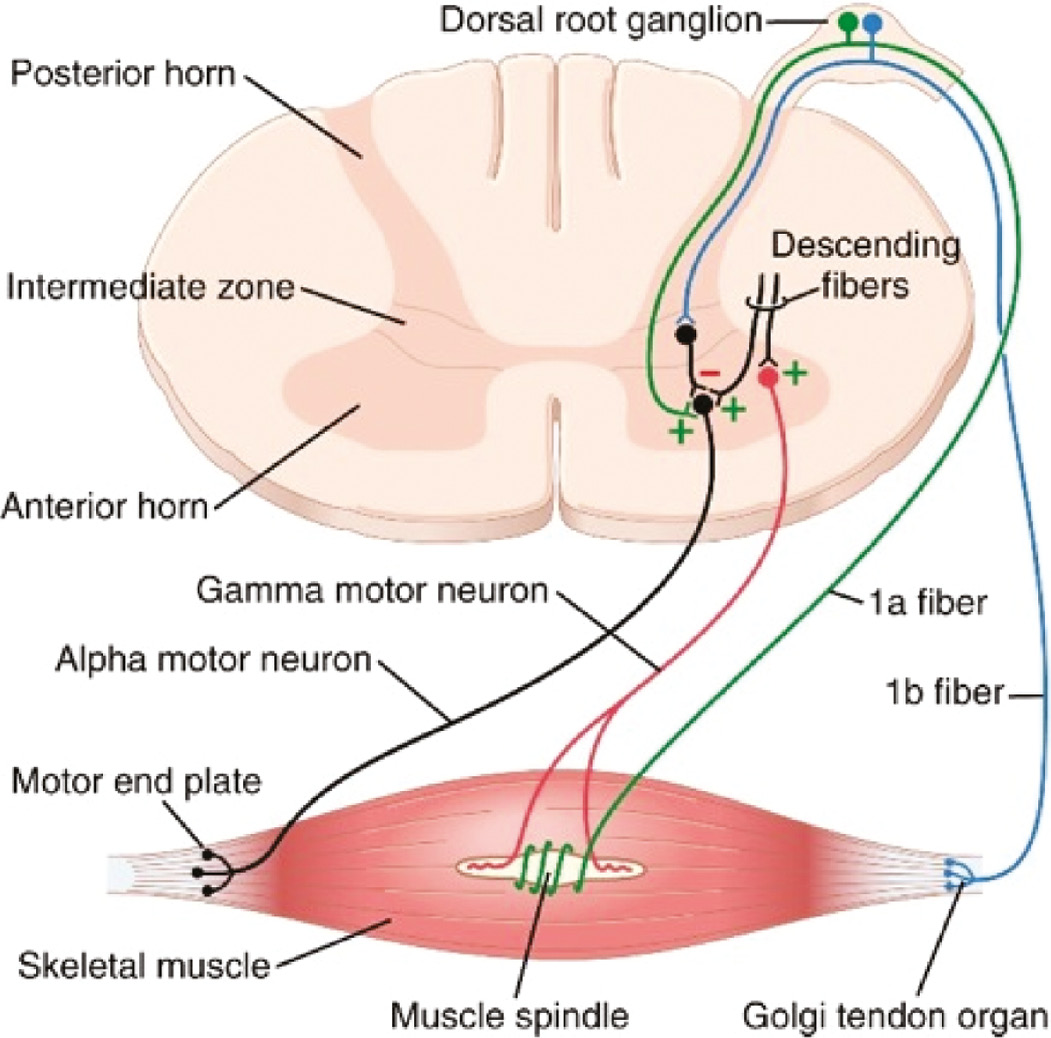 jposna2022588_fig1.jpg