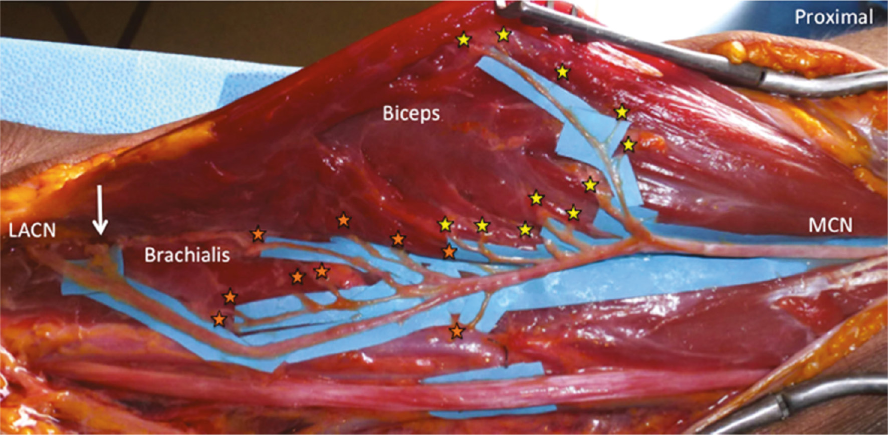 jposna2022588_fig3.jpg