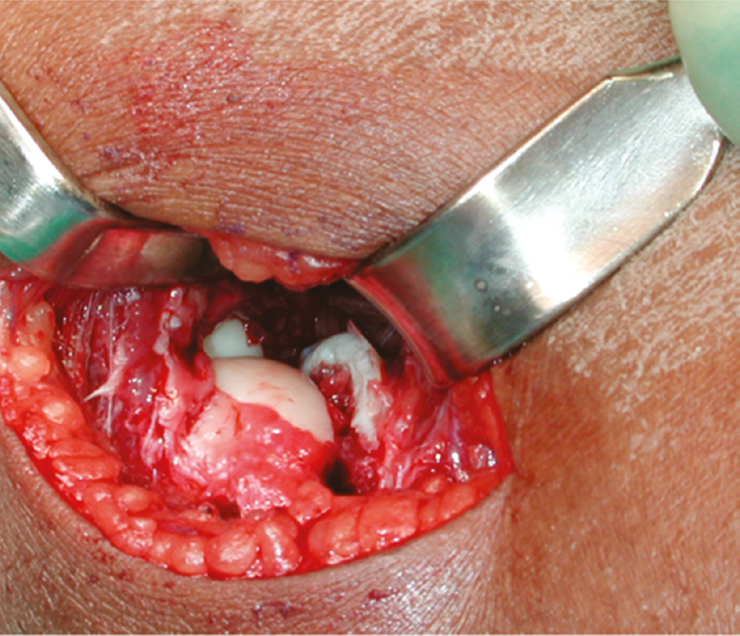 jposna2023632_fig12.jpg