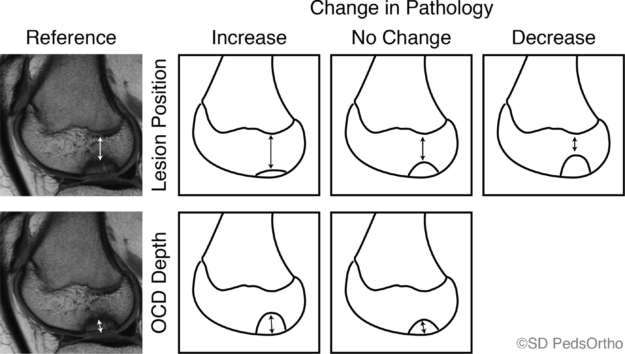jposna2023677_fig4.jpg