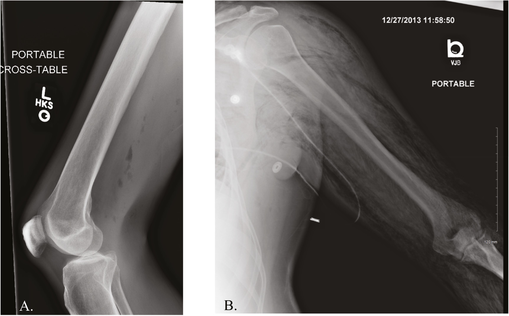 jposna2023728_fig3.jpg