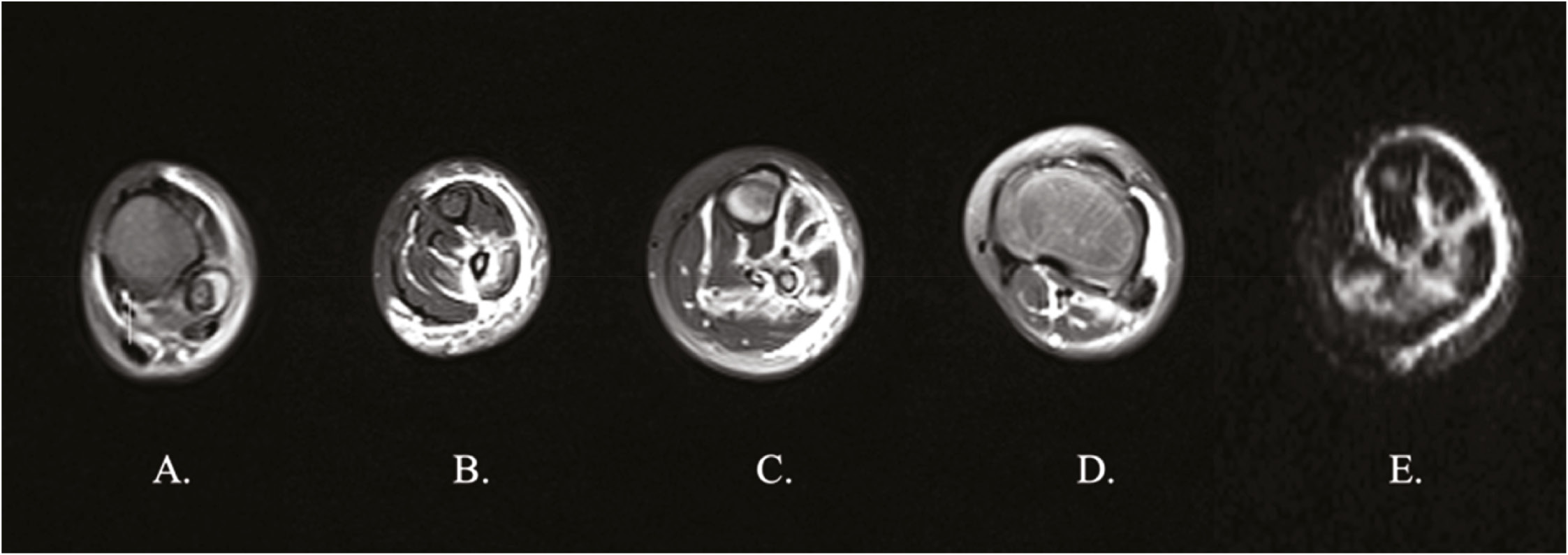 jposna2023728_fig4.jpg