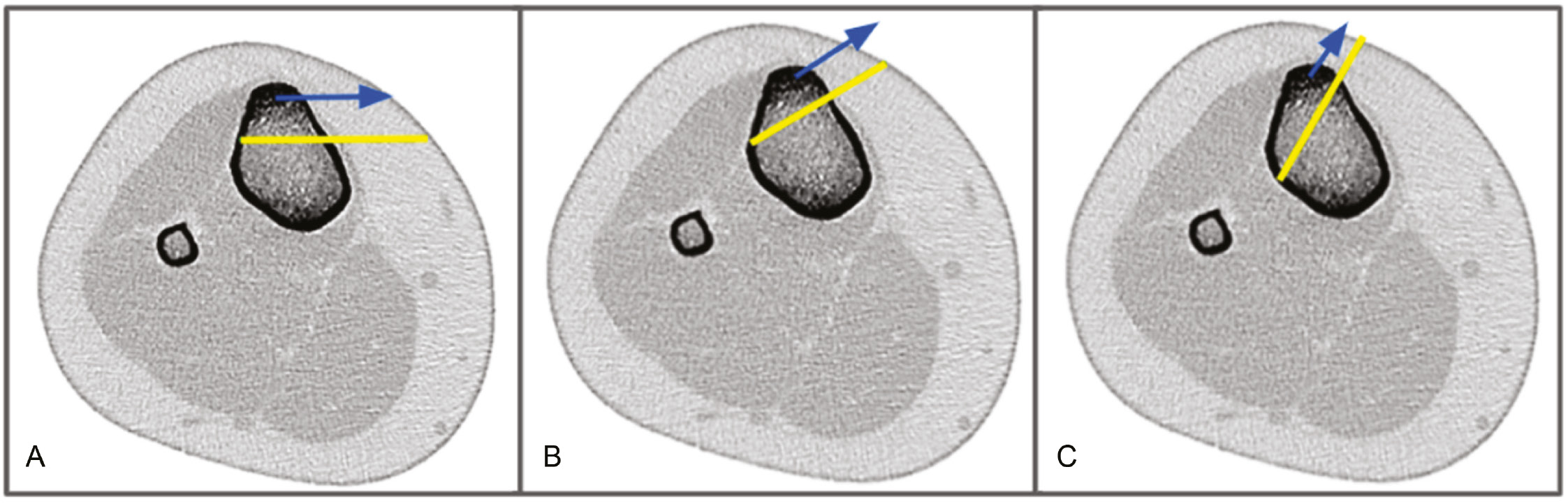 jposna2023750_fig1.jpg