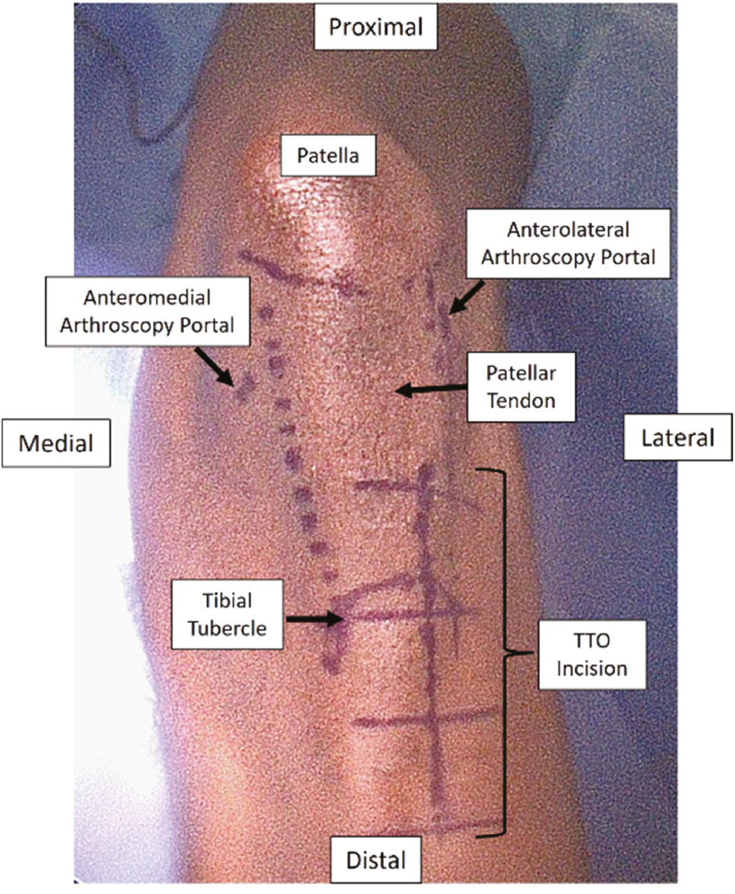 jposna2023750_fig3.jpg