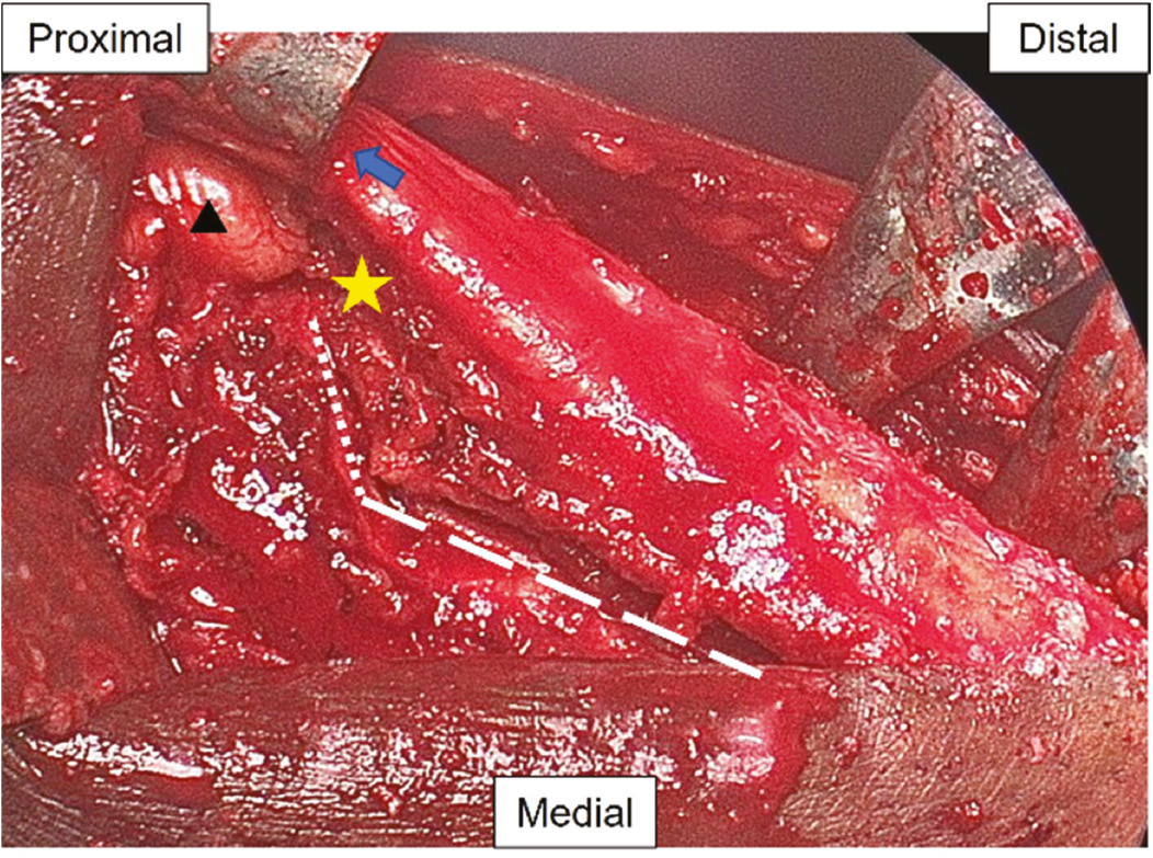 jposna2023750_fig6.jpg