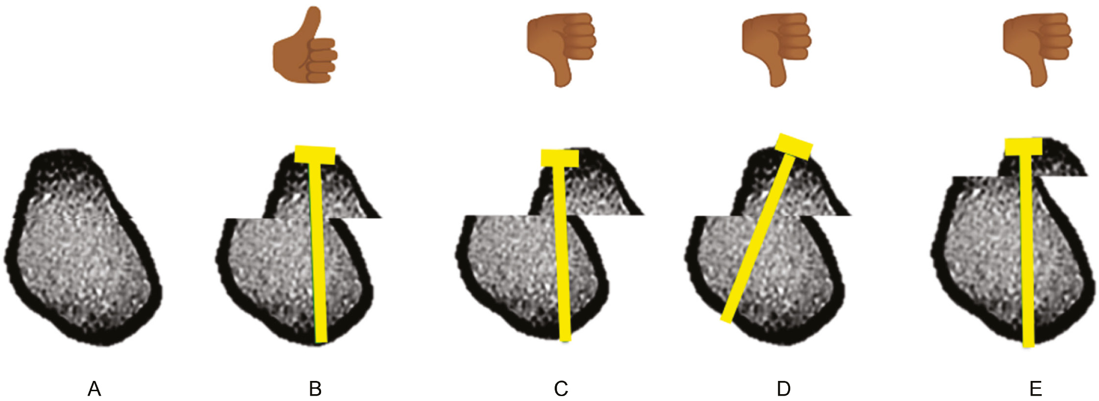 jposna2023750_fig9.jpg