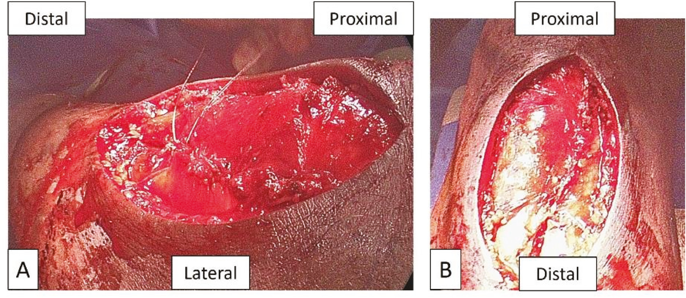 jposna2023750_fig10.jpg