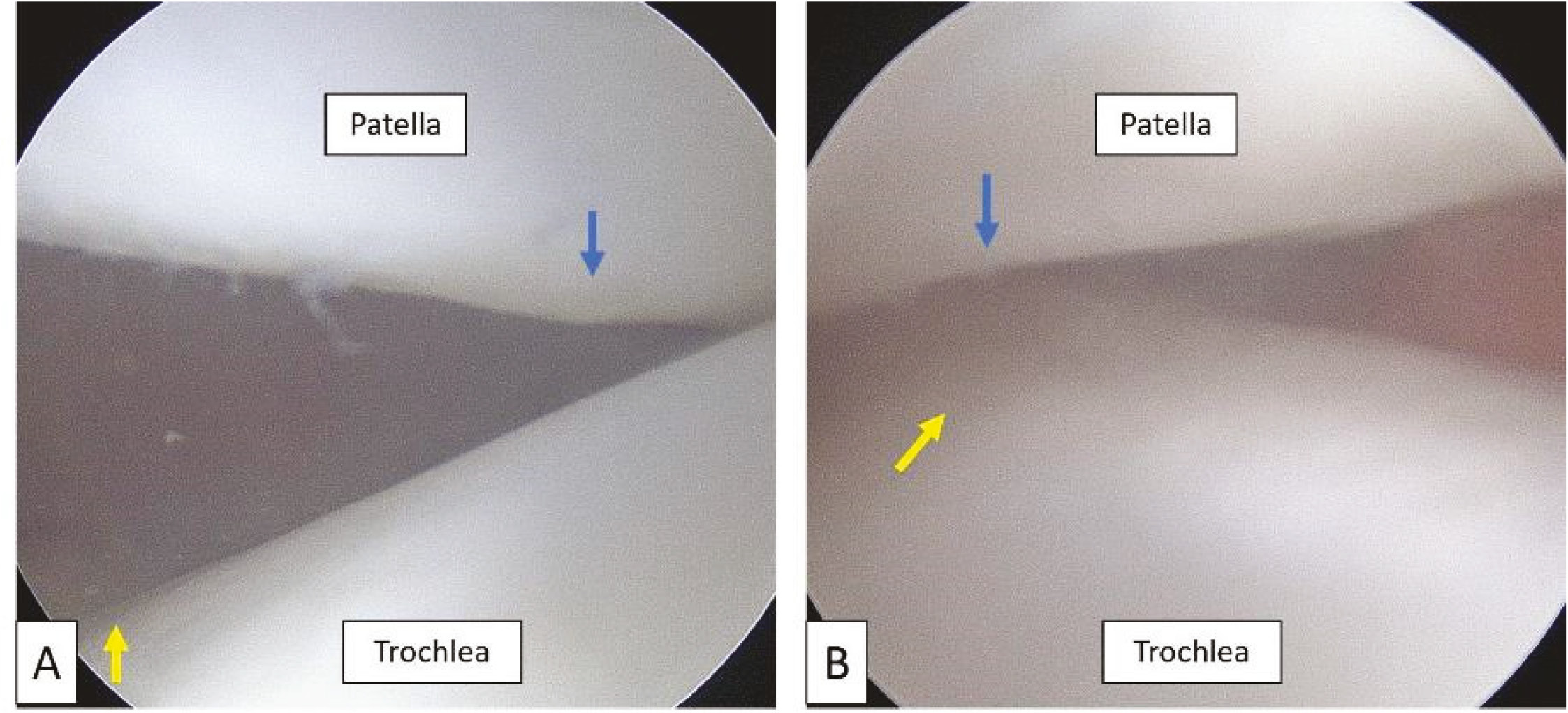 jposna2023750_fig11.jpg